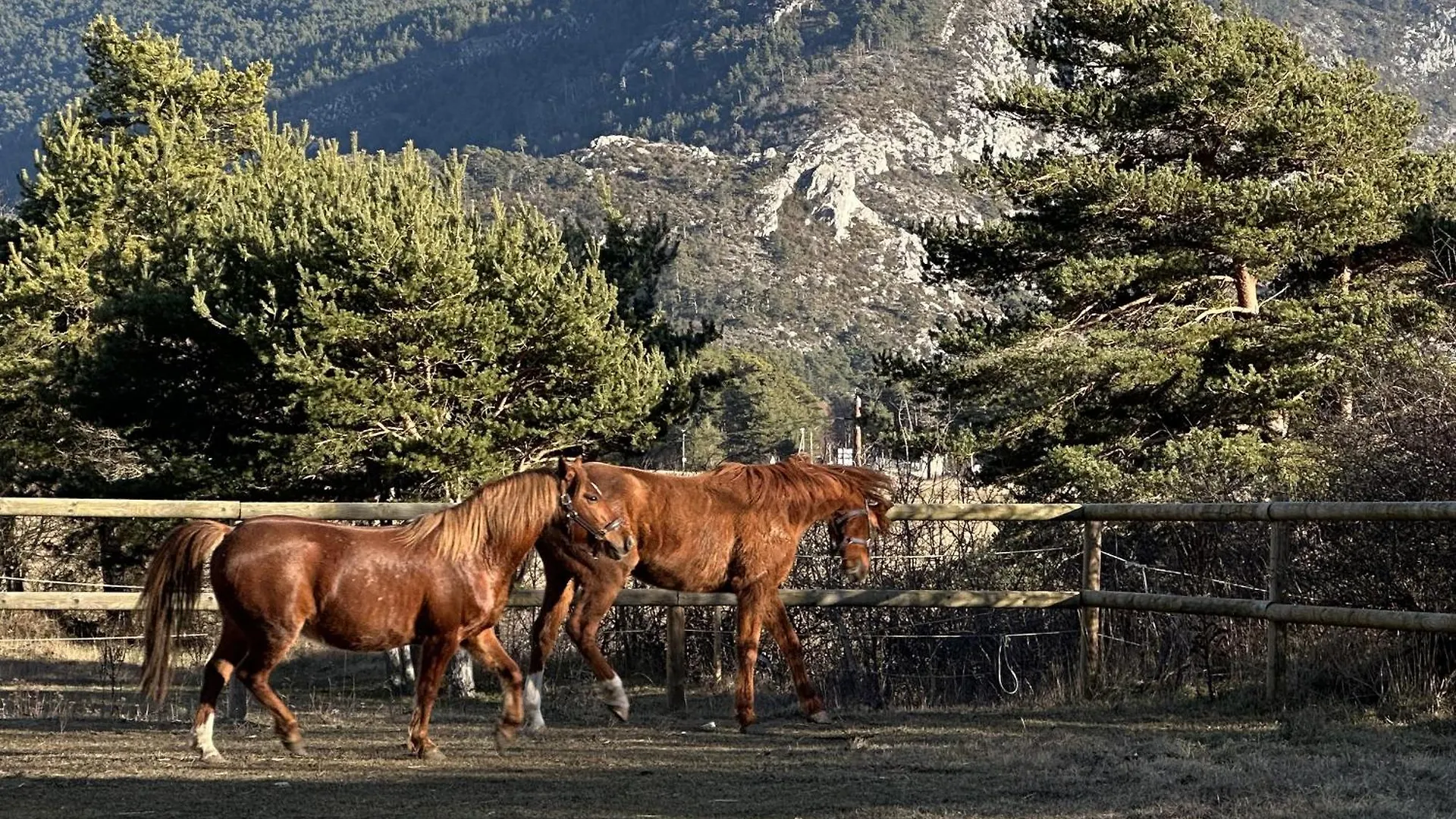 Gites Shamsoka - Haras De Séranon 0*,  Francia