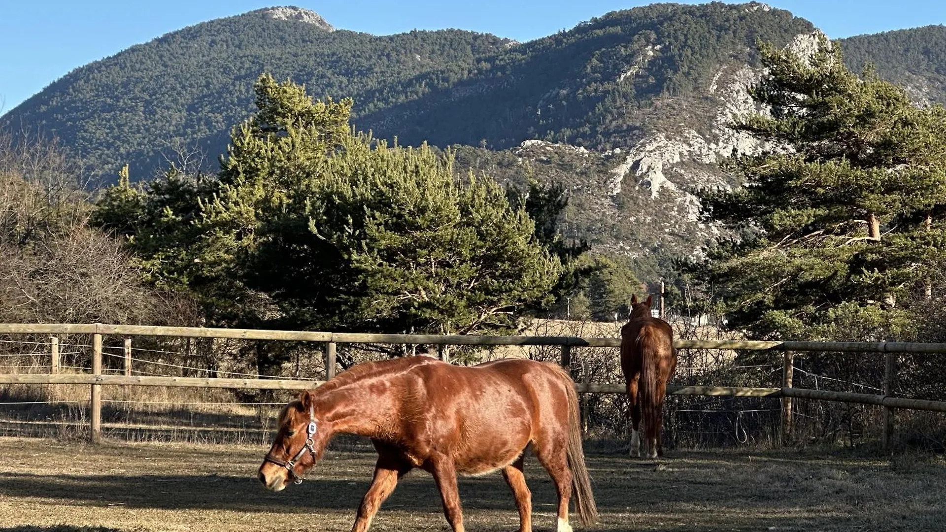 Gites Shamsoka - Haras De Séranon Сasa de vacaciones